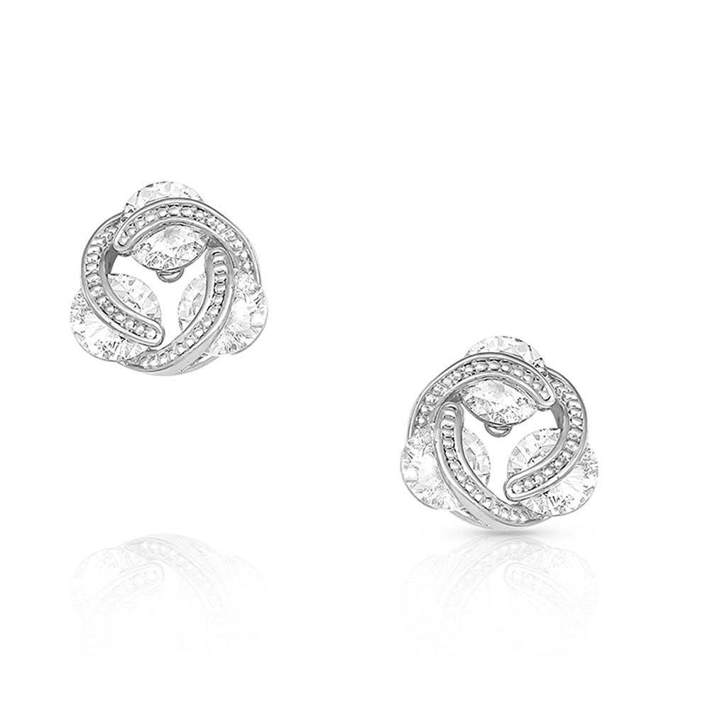 ER4800 | MONTANA SILVERSMITHS HOLDING ON TO STARLIGHT STUD EARRINGS