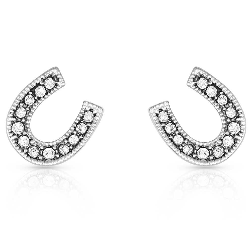 ER808 | MONTANA SILVERSMITH CRYSTAL CLEAR STUCK ON LUCK POSTEARRINGS