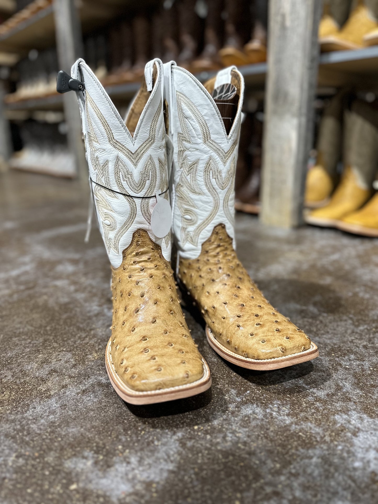 RANCHERS OSTRICH UMBER - Ave Umber