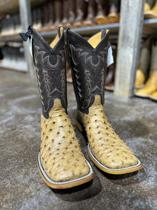 CADENA OSTRICH UMBER RANCHERO TOE