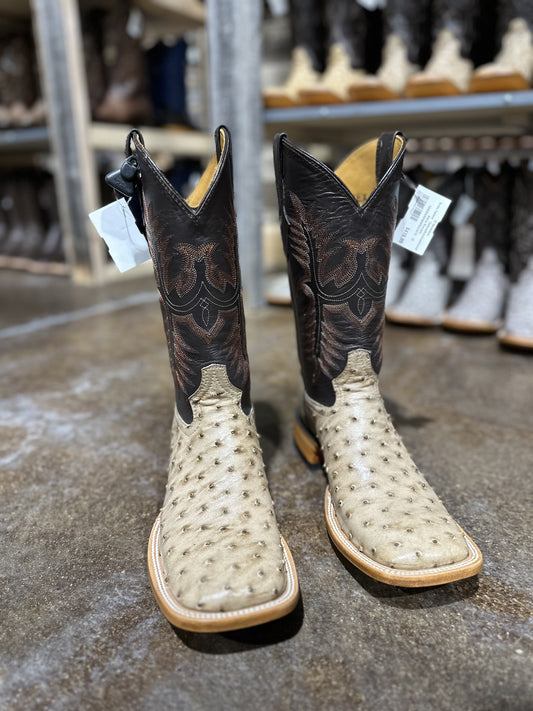 CADENA OSTRICH ARENA BRUCIATO RANCHERO TOE