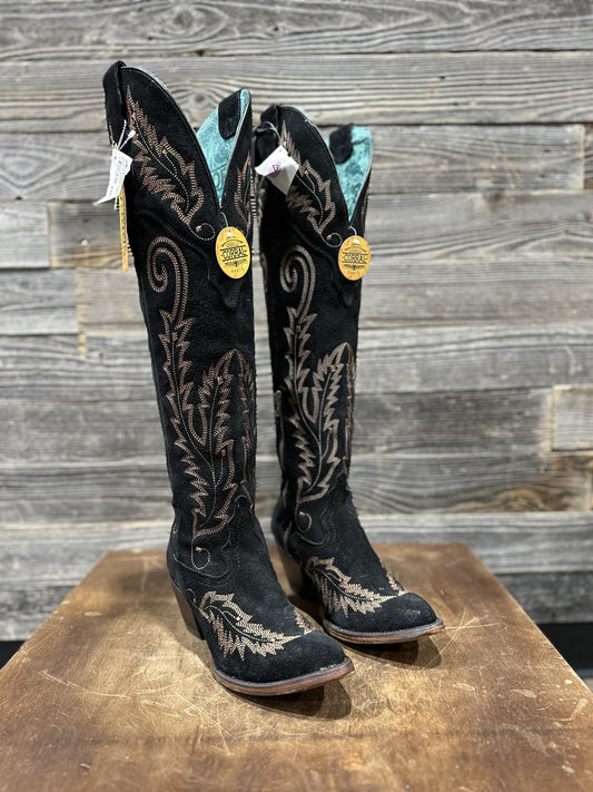 A4404 | CORRAL GOLD EMBROIDERY BLACK SUEDE TALL