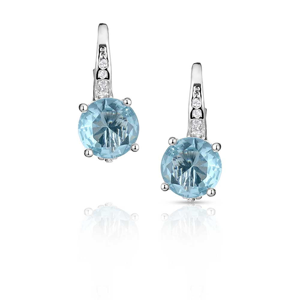 ER5808 | MONTANA SILVERSMITH ARCTIC ICE CRYSTAL EARRINGS
