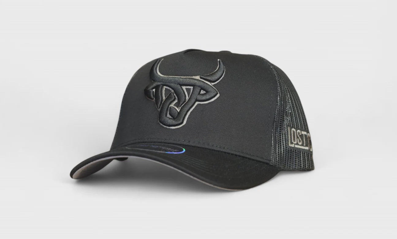 LOST CALF GREY HORNS A-FRAME CAP