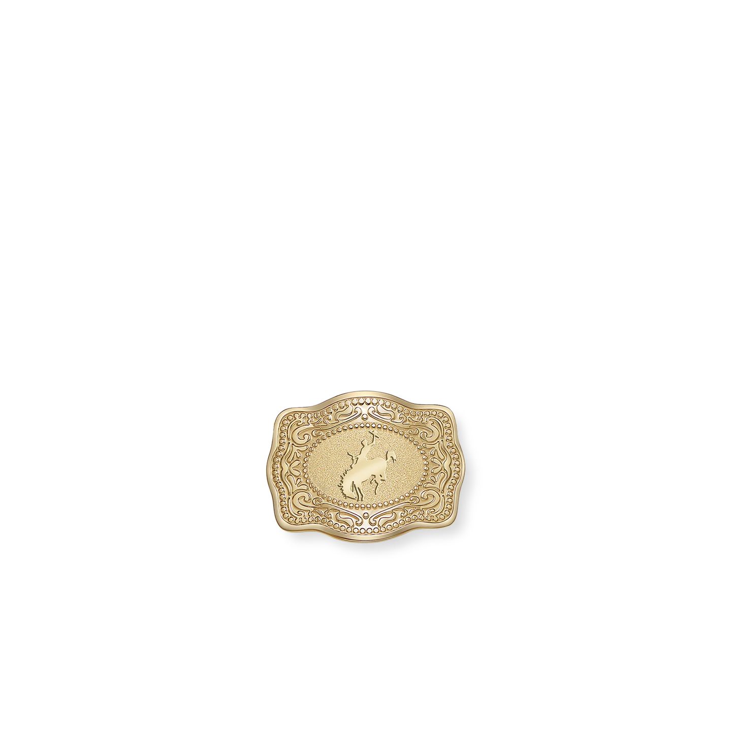 SPURWEST GOLD HAT PIN