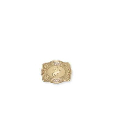SPURWEST GOLD HAT PIN