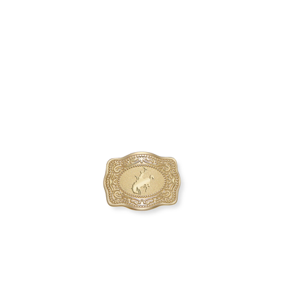 SPURWEST GOLD HAT PIN