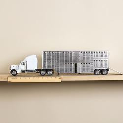 50622 | BIGTIME RODEO PETERBILT BULL HAULER PLAY SET