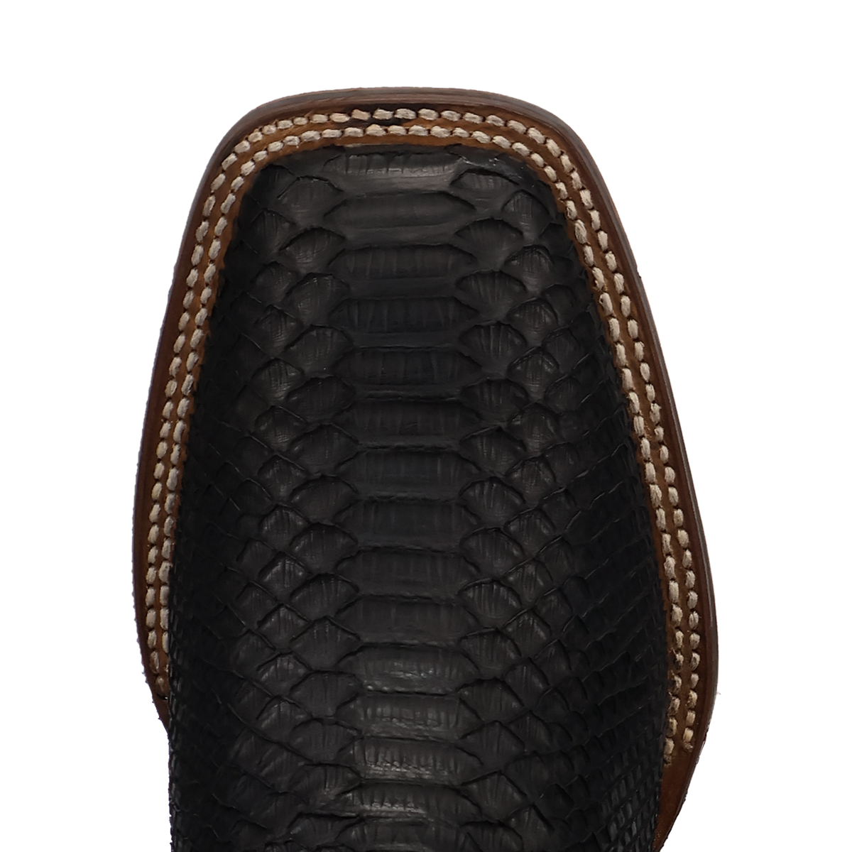 DP5269 | DAN POST MIDNIGHT REIGN PYTHON BOOT BLACK/BLACK