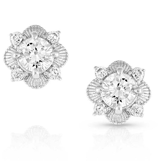 ER5188 | MONTANA SILVERSMITHS MAKIN' MEMORIES CRYSTAL STUD EARRINGS