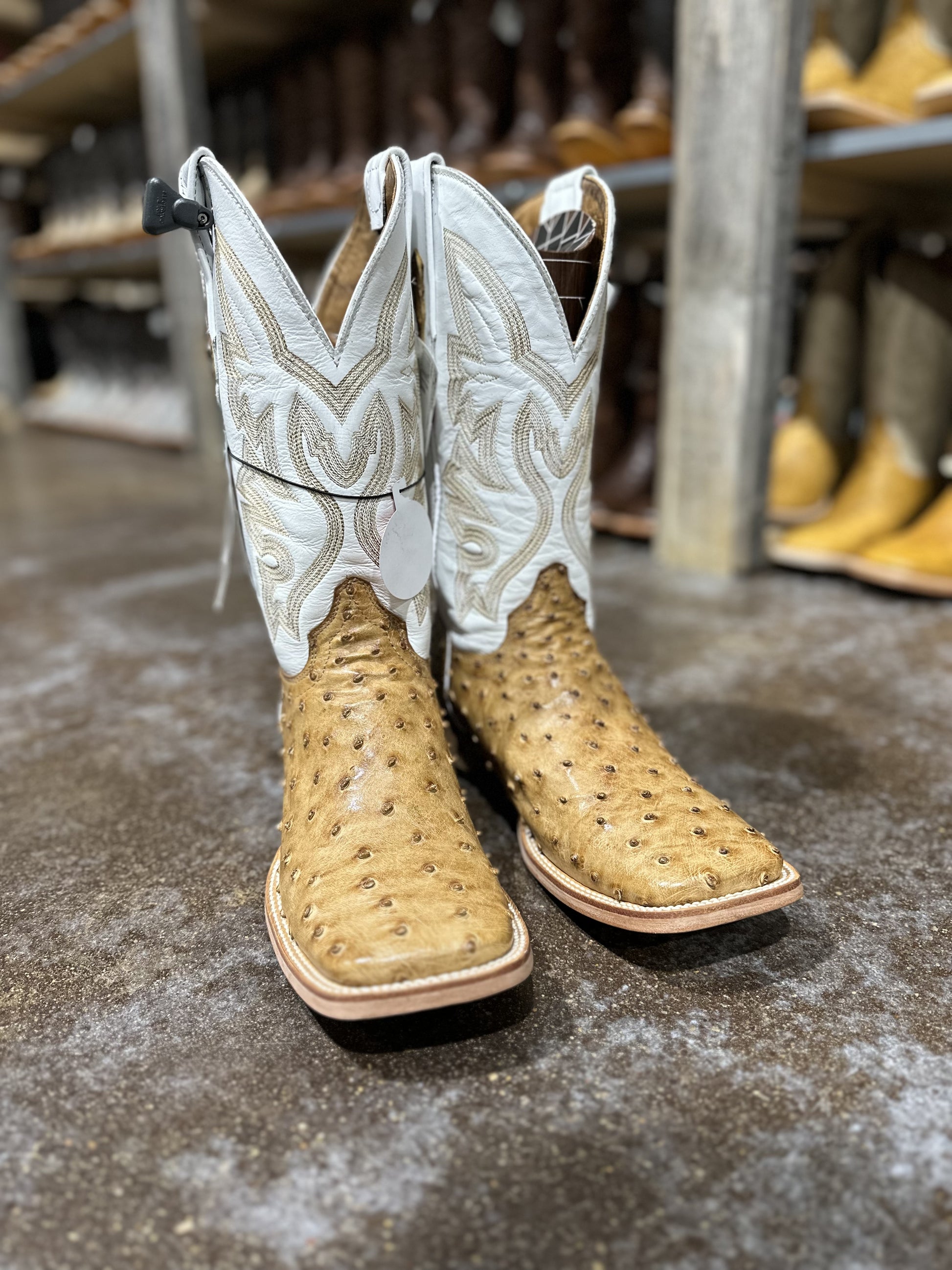 RANCHERS OSTRICH UMBER - Ave Umber