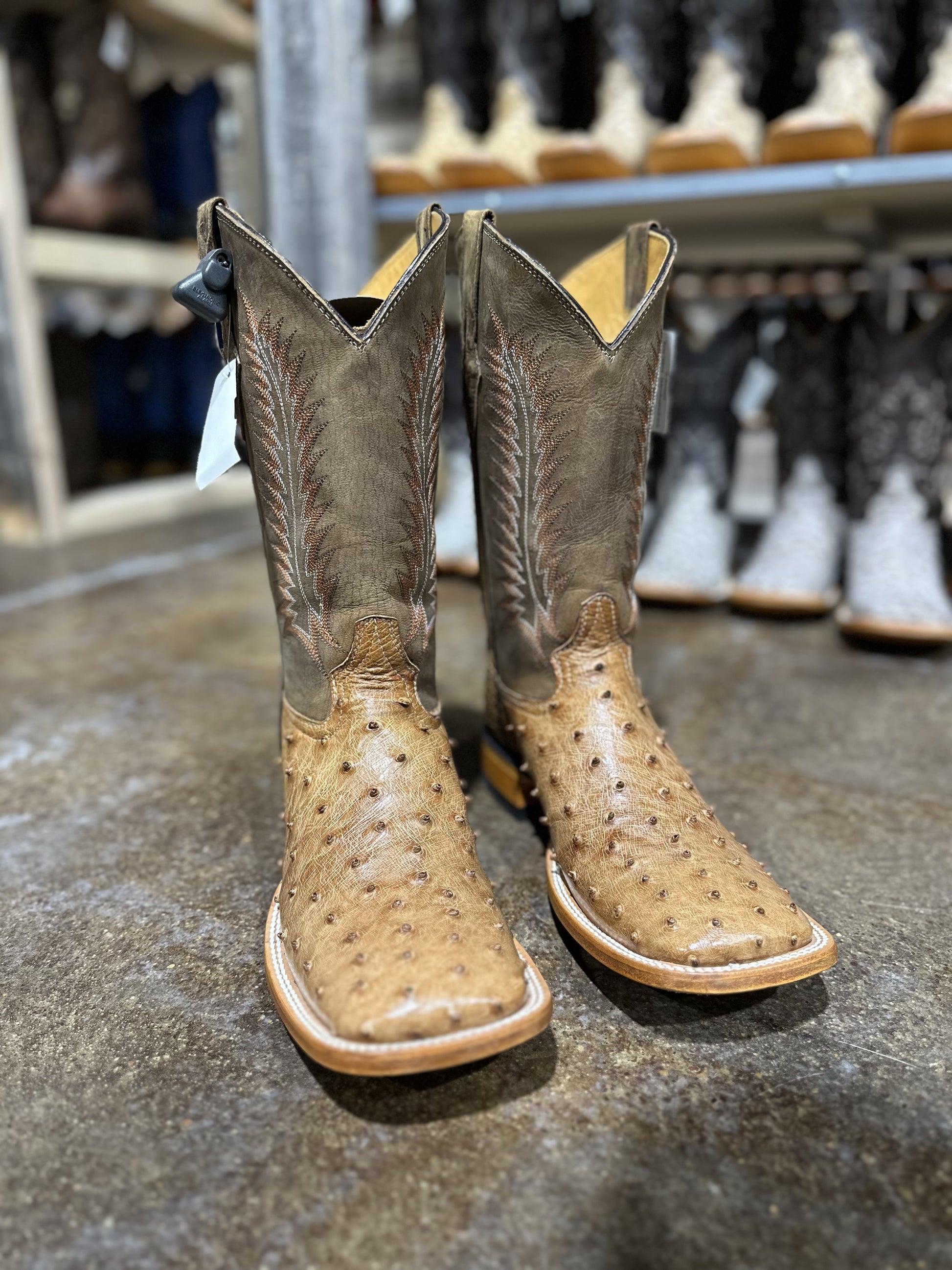 RANCHERS OSTRICH BRANDI BRUCIATO BOOTS
