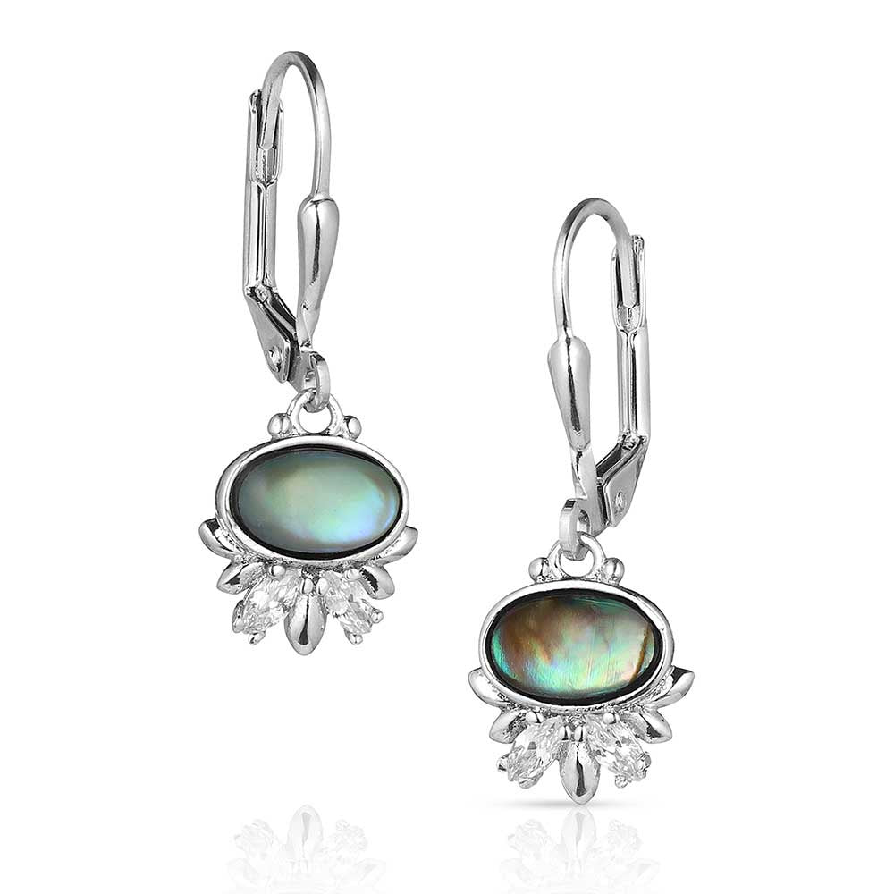 ER5770 | MONTANA SILVERSMITH AURORA LIGHTS DANGLING EARRINGS