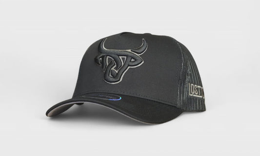 LOST CALF GREY HORNS A-FRAME CAP